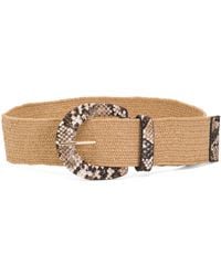 TJ Maxx - Woven Raffia Stretch Belt With Faux Leather Covered Buckle For - Lyst