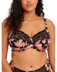 TJ Maxx - Full Figure Morgan Underwire Bra For Polyester - Lyst
