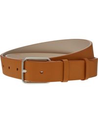 ralph lauren belt tk maxx
