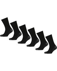 Weatherproof Six Pack Terry Work Socks - Black