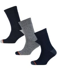 Weatherproof Three Pack Waterproof Socks - Blue