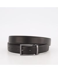 steve madden belt