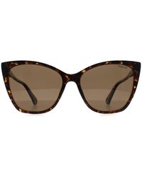 Polaroid - Cat Eye Havana Bronze Polarized Pld 4181/S - Lyst