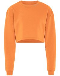 myMo - Sweatshirt Abrikoos - Lyst