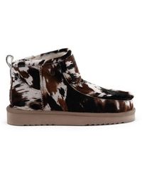 Warmbat - Barunga - Lyst