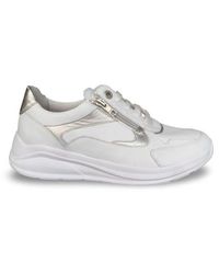 SOLIDUS - 54501 Kitty 501 - Lyst