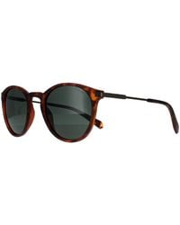 Polaroid - Round Matte Havana Polarized Pld 2062/S - Lyst