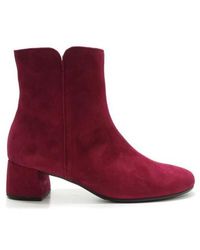 Gabor - 55.680 - Lyst