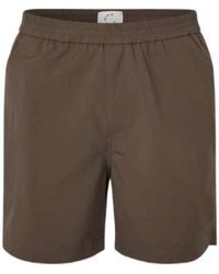 Plain - Turipl Shorts 040 Dark Oak - Lyst