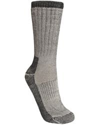 Trespass - Stroller Merino Wool Hiking Boot Socks (1 Pair) - Lyst