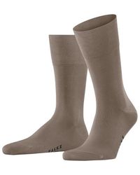FALKE - Sokken - Lyst