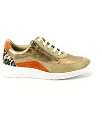 SOLIDUS - 56287 Halea 287 - Lyst