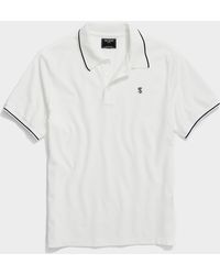 TODD SNYDER x CHAMPION Mens Logo Tipped Pique Polo Shirt Gray MSRP $98