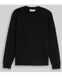 Tom Tailor - DENIM Basic Sweatshirt - Lyst