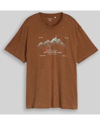 Tom Tailor - Plus Size - T-Shirt mit Print - Lyst