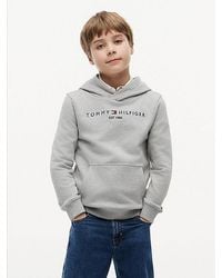 Tommy Hilfiger - Essential Logo Pure Cotton Hoody - Lyst