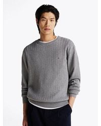 Tommy Hilfiger - Visgraatgebreide Trui Met Ronde Hals - Lyst