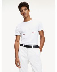 classic fit nautical bear polo