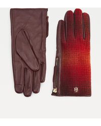 Tommy Hilfiger Handschuhe für Frauen - Bis 60% Rabatt | Lyst DE
