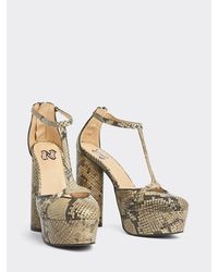 Tommy Hilfiger Zendaya Pump Met Slangenprint - Bruin