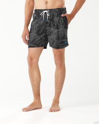 tommy bahama shorts sale