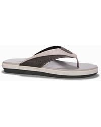 tommy bahama slippers