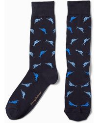 tommy bahama socks