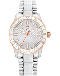 tommy bahama ladies watch
