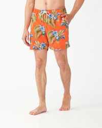 tommy bahama mens swimwear clearance