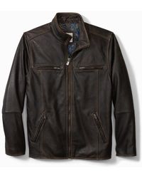 tommy bahama genuine leather coats & jackets