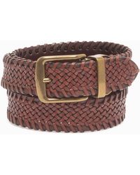Tommy Bahama Belts for Men - Up to 10% off at Lyst.com
