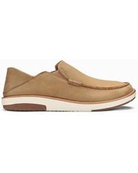 Tommy Bahama Mens Taza Fronds Driving Style Loafer