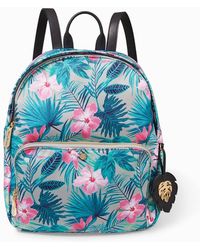 tommy bahama womens backpack