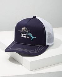 Tommy Bahama Cotton Flamingo Paradise 