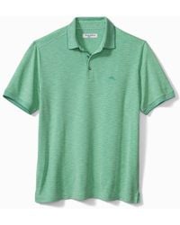 tommy bahama via verde polo