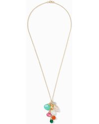 tommy bahama jewelry