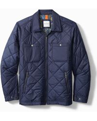 tommy bahama the bay