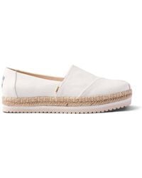 toms plates blanches