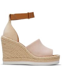 toms