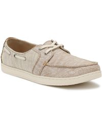 champion shoes low top