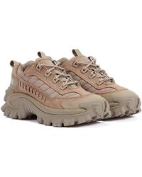 Caterpillar - Intruder Pilztrainer - Lyst