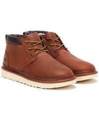 mens uggs chukka neumel