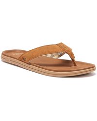 john lewis mens flip flops