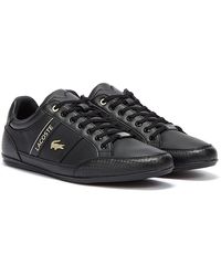 lacoste chaymon black tan