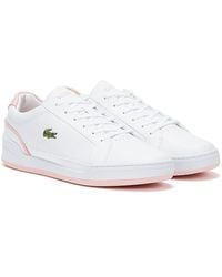 lacoste ladies sneakers