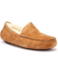 ugg slippers men brown