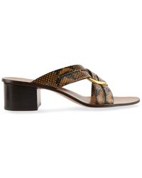 Chloé Rony Snakeskin Embossed Sandals - Brown