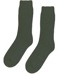 Colorful Standard W Calcetines Women Classic Socks Womens Clothing Hosiery Socks 