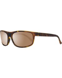Serengeti Alessio Rectangle Sunglasses - Brown
