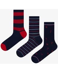 Penti - Marineblau Gestreifte 3-Teilige Socken Für Männer Für Herren - Lyst